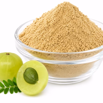 BUY 1 KG AMLA POWDER