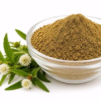 Buy 1 Kg Bhringraj Powder