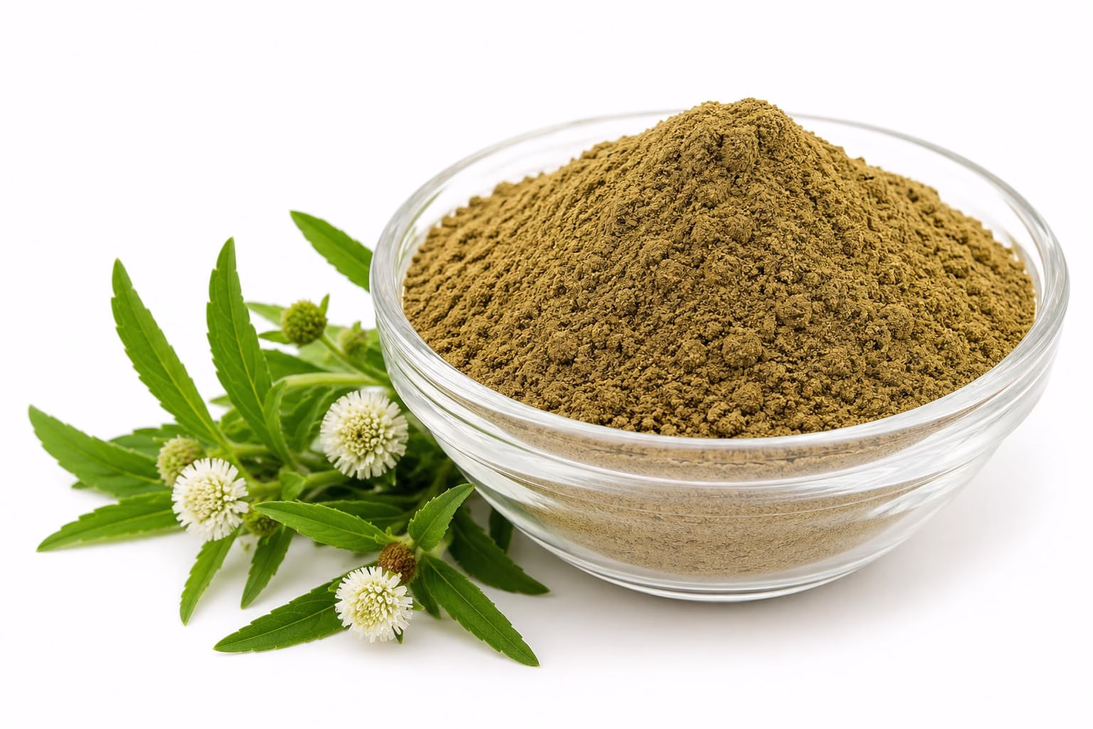 Buy 1 Kg Bhringraj Powder Buy 1 Kg Bhringraj Powder
