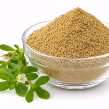 Buy 1kg Brahmi Powder