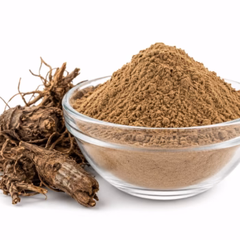 Buy 1kg Jatamansi Powder