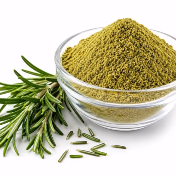 Rosemary Leaves Powder