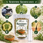Rosemary Leaves Organic 100g | Natural Dry Rosemary Leaves For Hair Growth